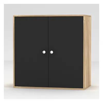 (Oak, With Black Door) 2-Tier Wooden Storage Cupboard