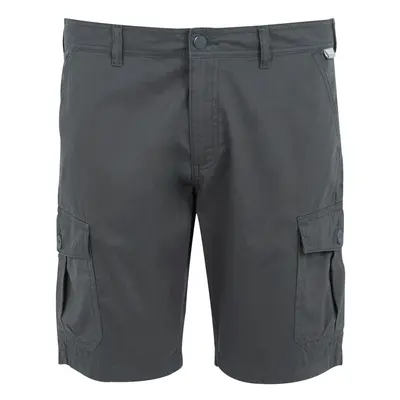 (30R, Seal Grey) Regatta Mens Ruwan Casual Shorts