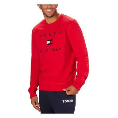 Tommy Hilfiger Mens Midweight Crewneck Sweatshirt (as1 alpha l regu