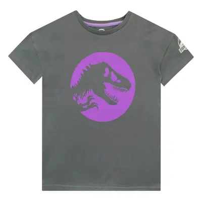 Jurassic World Girls T-Shirt Grey