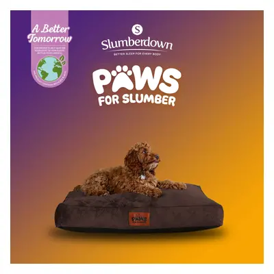 (Chocolate Brown, Medium) Paws for Slumber Padded Pet Bed UK Made