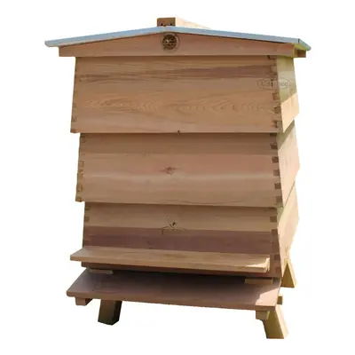 Bee WBC Beehive Cedar Hive with Lifts, a Porch, Super Brood with a Gabled Roof