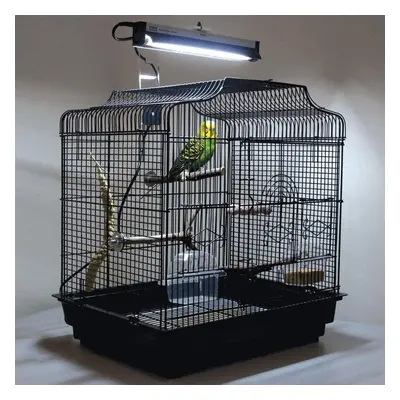 Arcadia PureSun Bird Lamp Kit Mini 8W, 31cm (UK)