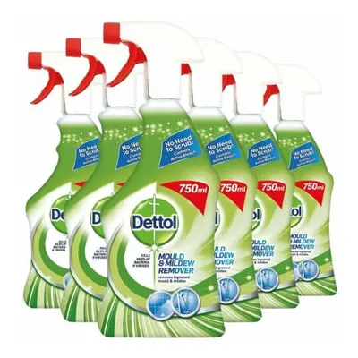 Dettol Mould and Mildew Remover Spray Cleaning Spray 750ml x