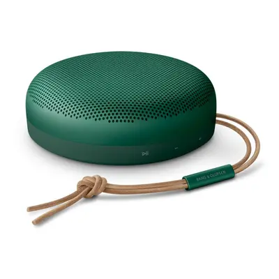 Bang & Olufsen Beosound A1 2nd Gen Waterproof Bluetooth Speaker (Green)