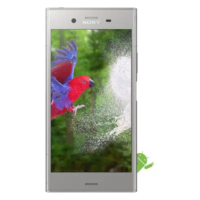 (Silver) Sony Xperia XZ1 Dual Sim | 64GB | 4GB RAM