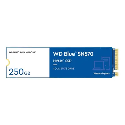 Western Digital Blue 250GB SN570 NVMe Internal Solid State Drive/SSD