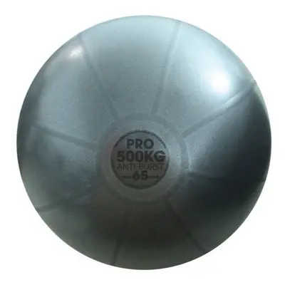 Fitness Mad Studio Pro Swiss Ball