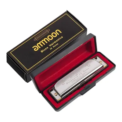 (Silver) Holes Tones Blues Harmonica