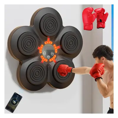 Smart Boxing Training Music Boxing Wall Target Wall Mounted Combat