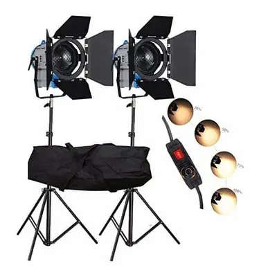 2x 300W Pro Fresnel Tungsten Halogen Video Dimmable Spotlights + Stands & Bag