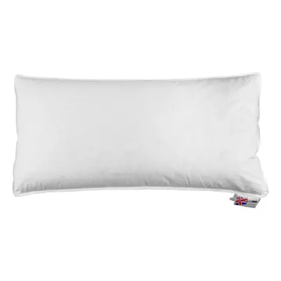 Homescapes Goose Down Euro Continental Pillow - 40cm x 80cm (16"x32")