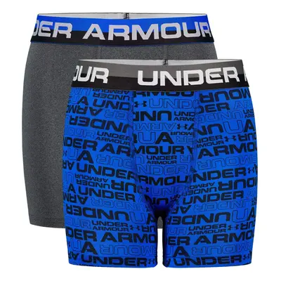 Under Armour Boy`s Performance Boxer Briefs Pack (Ultra Blue(27X6700