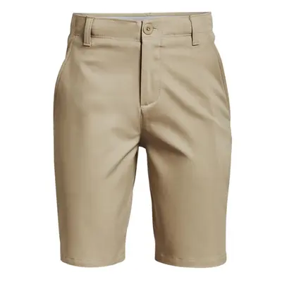 Under Armour Boys Showdown Shorts Barley (233)/Halo Gray Small