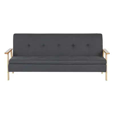 Sofa Bed TJORN Dark Grey