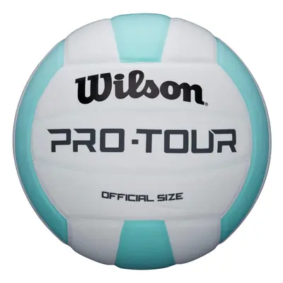 Wilson Pro Tour Indoor Volleyball - Official Size Teal/White