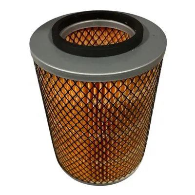 1310070 - Genuine Replacement Air Filter K1317