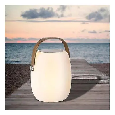 Glowing Portable Led Speaker Lantern