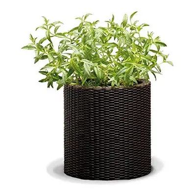 CURVER Medium Rattan Pot