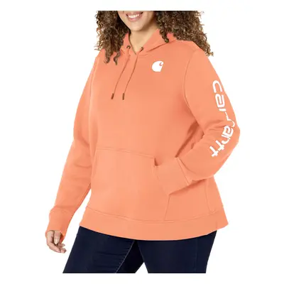 carharttwomensclarksburg graphic Sleeve Pullover Sweatshirt (Plus Size