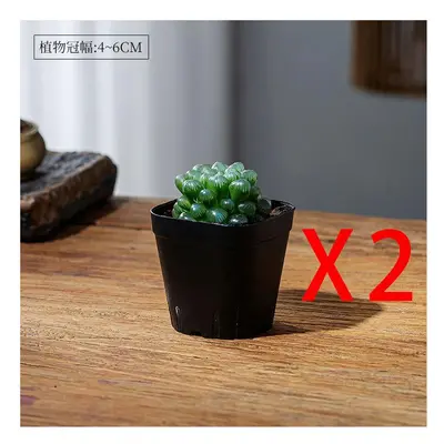 ((2 pots) Yulu potted plant-base pot, Pot) Yulu Succulent Plant Indoor Potted Boutique Good Feed