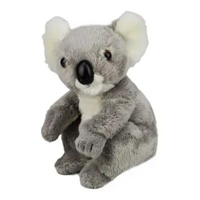 National Geographic Baby Koala Plush Toy