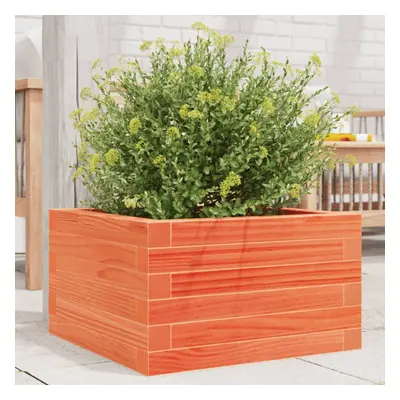 vidaXL Garden Planter Wax Brown 40x40x23 cm Solid Wood Pine