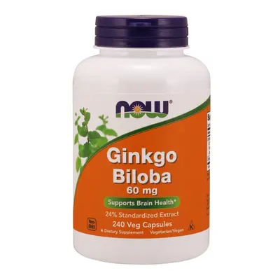 NOW Foods Ginkgo Biloba Double Strength For Brain Health 120mg Veg Capsules