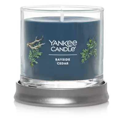 Yankee Candle Bayside Cedar Scented Signature 43oz Small Tumbler Single Wick Candle Over Hours o