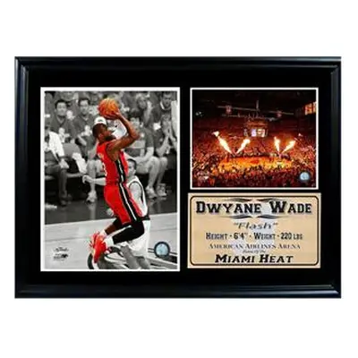 12x18 Photo Stat Frame - Dwayne Wade Miami Heat