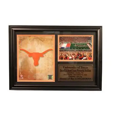 University of Texas ""12x18"" Photo Stat Frame