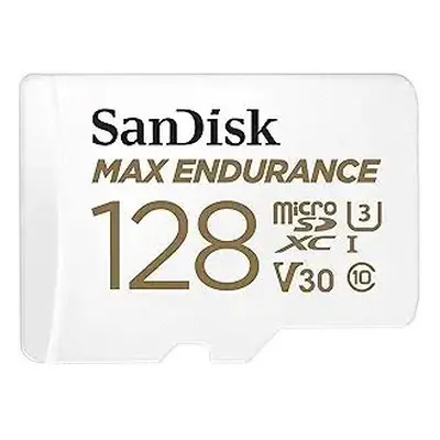 Sandisk MAX Endurance (128GB, SDSQQVR-128G-GN6IA)