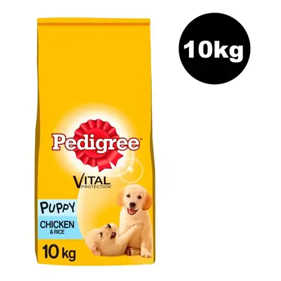 PEDIGREE Puppy Medium Dog Complete Dry With Chicken & Rice 10kg