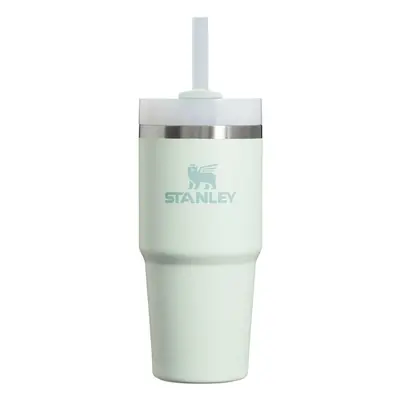 Stanley Quencher H20 FlowState Stainless Steel Vacuum Insulated Tumbler with Lid and Straw for W