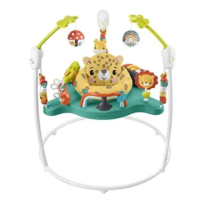 FisherPrice Jumperoo Baby Activity Center with Lights Sounds and Music Interactive Baby Bouncer 