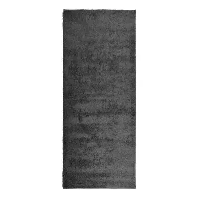 (anthracite, x cm) vidaXL Shaggy Rug Floor Mat Fluffy Rug Area Rug PAMPLONA High Pile Modern