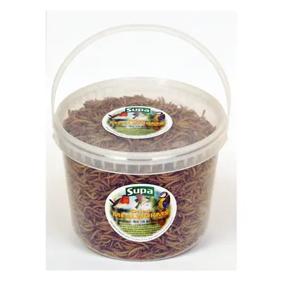 Supa Dried Mealworms - Wild Bird Food / Treat 3Ltr