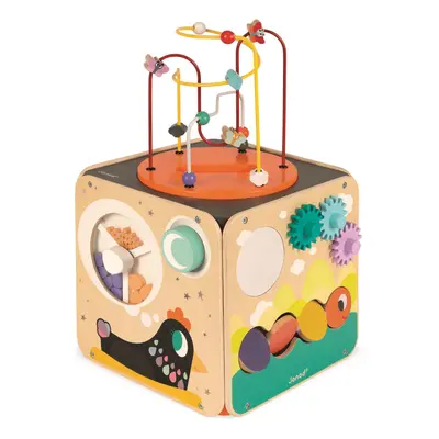 Janod Multi-Activity Looping Toy