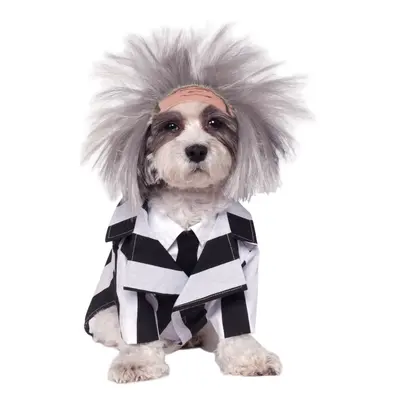 Rubie's Beetlejuice Pet Costume Large