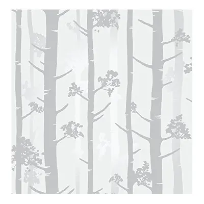 Urban Walls UW24779 Birch Tree Sidewall, Grey