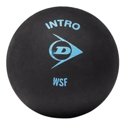 Dunlop DA50032 Intro Squash Ball Pack