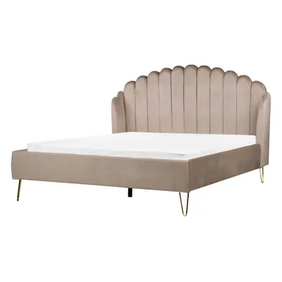 Bed AMBILLOU x cm (EU King Size) Velvet Taupe