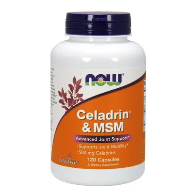 NOW Foods Celadrin & MSM, 500mg - caps