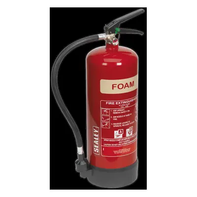 Fire Extinguisher 6L Foam