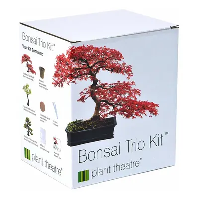 Plant Theatre Bonsai Trio Kit | Distinctive Bonsai Trees to Grow