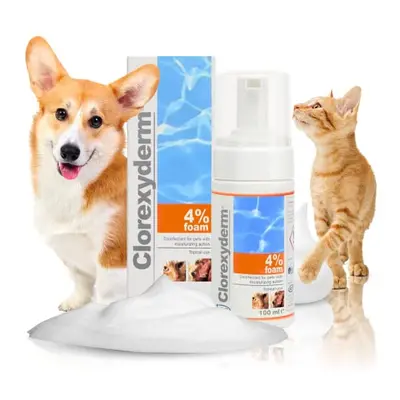 Clorexyderm 4% Foam Mousse - Dry Shampoo for Dogs & Cats - Antibacterial & Antifungal - Dry Itch