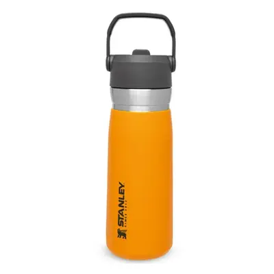 STANLEY IceFlow Stainless Steel Water Bottle with Straw 0.65L - Keeps Cold For 12+ Hours - Leakp