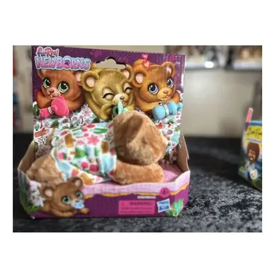 Hasbro FurReal Newborns Bear Interactive Animatronic Plush Toy