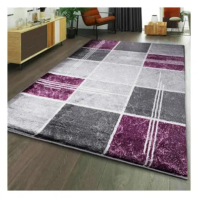 (160 x cm, Purple) Extra Large Area Rugs Living Room Bedroom Carpet