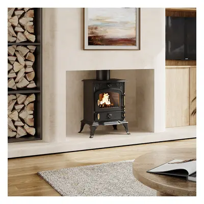 Freestanding Cast Iron Wood Burning Stove Fireplace